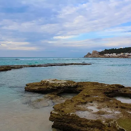 Il Suono Delle Conchiglie - Lido Conchiglie