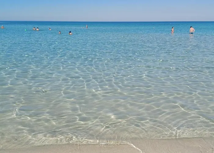 Apartment Il Suono Delle Conchiglie - Lido Conchiglie